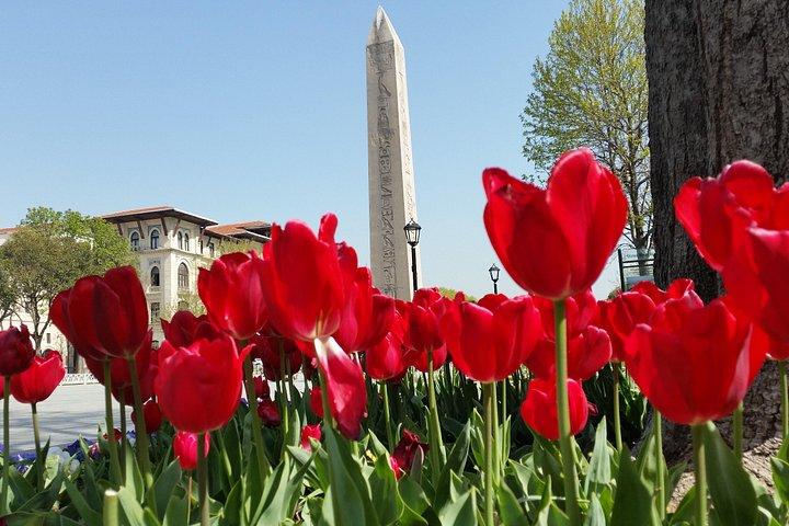 Istanbul Historic Highlights Tour