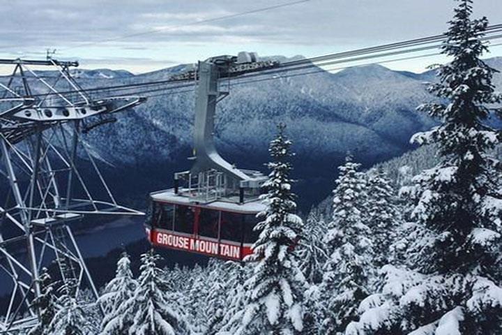 Vancouver Perfect Day Tour Grouse Mountain` & Capilano Suspention Bridge Privat