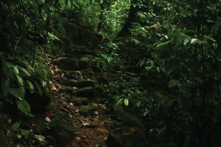 Het dorp kruising en boswandeling naar oude watervallen - Makandawa Rainforest