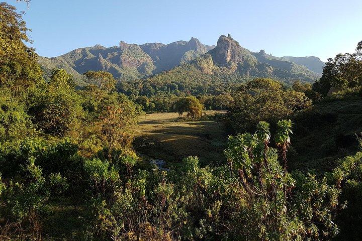 8 dage Trekking Bale Mountains