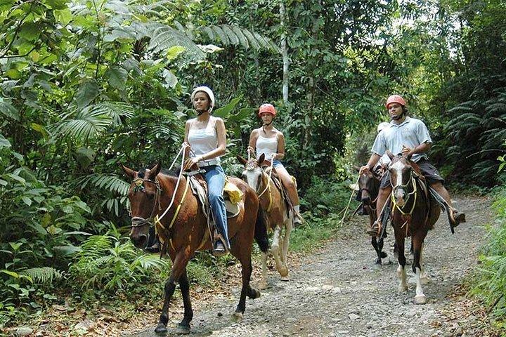 Visite du parc national Manuel Antonio à cheval