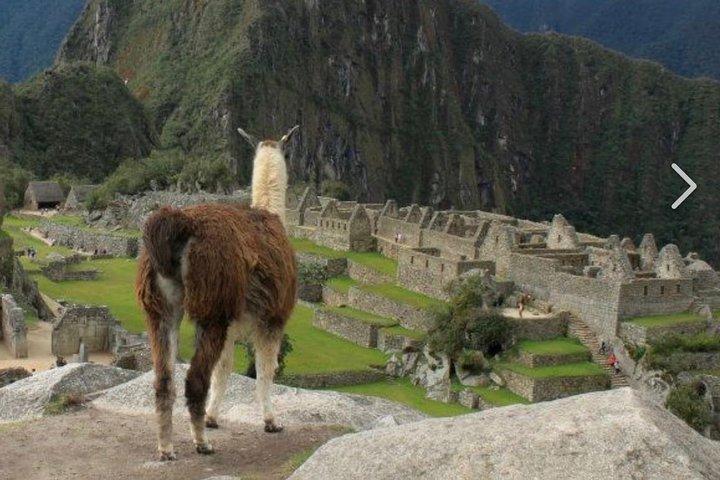Det bedste af Ingapirca: et eventyr til den ecuadorianske Machu Picchu