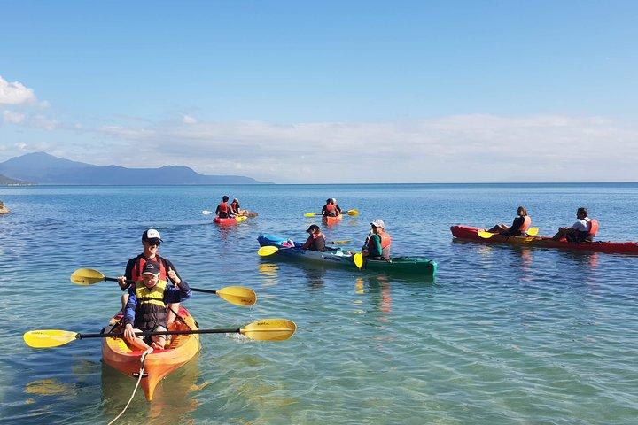 Kayak Turtle Tour from Palm Cove