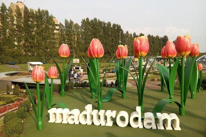 Visite privée de Delft et de La Haye incl. Madurodam d'Amsterdam