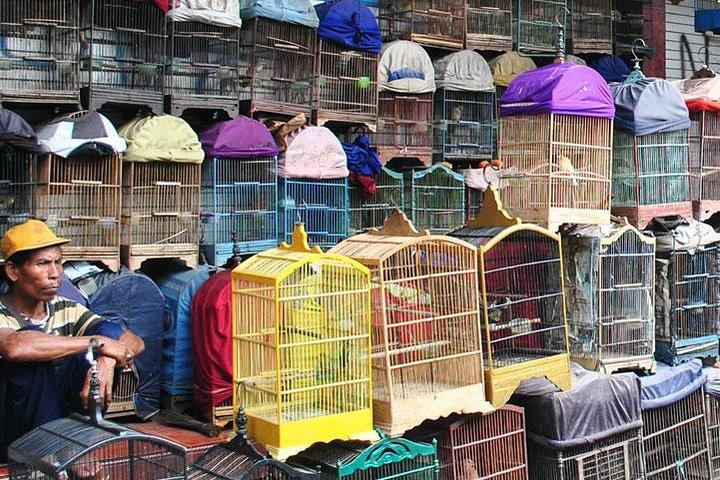 Malang local life kampong walking tour - city highlights in between // 4 - 6 hrs