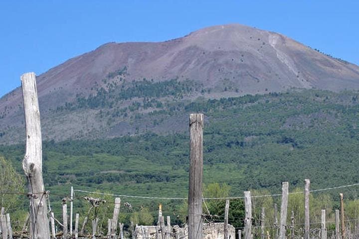 Pompeii and Vesuvius Private Guided Tour