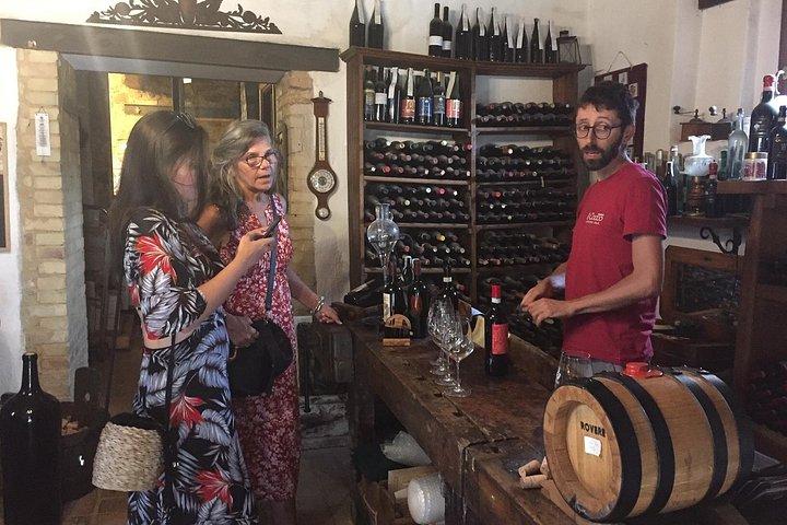 ブルネッロ・ディ・モンタルチーノ、小さなバイオダイナミックワイナリー