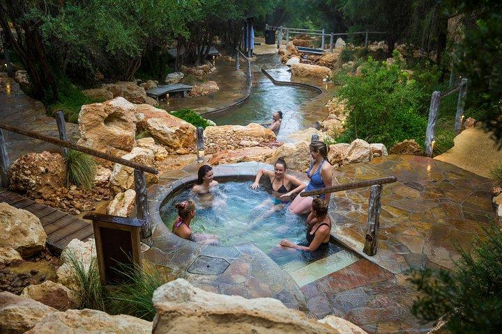 Excursión de un día a Peninsula Hot Springs con entrada al baño desde Melbourne