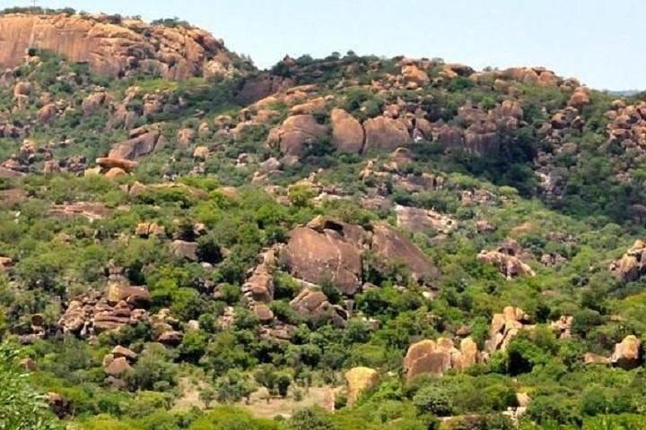 ¡Matopos Park Day Game Drive con Rhino Tracking!