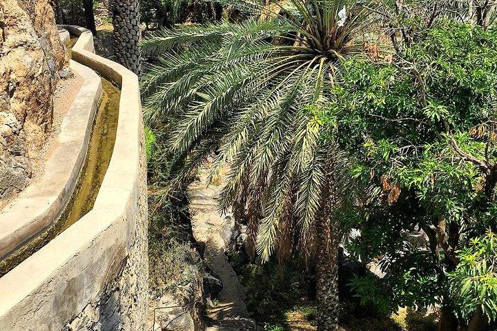 Nizwa Full Day turné