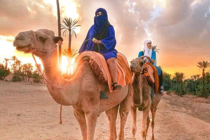 Kameltur i Marrakech