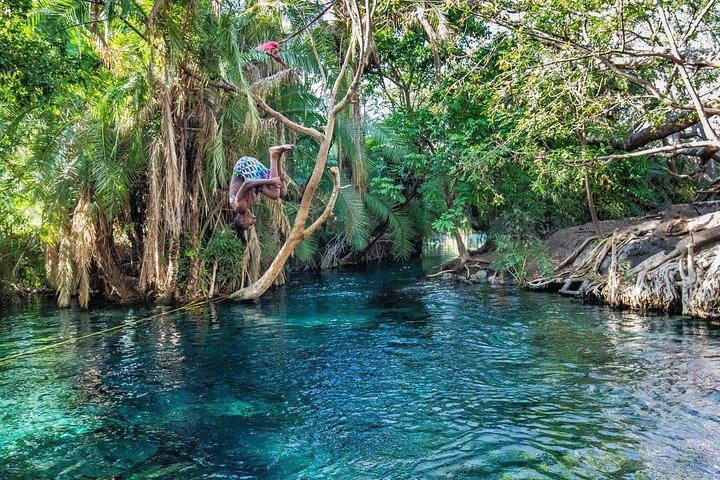 MATERUNI vattenfall, coffe tour & kikuletwa hotsprings