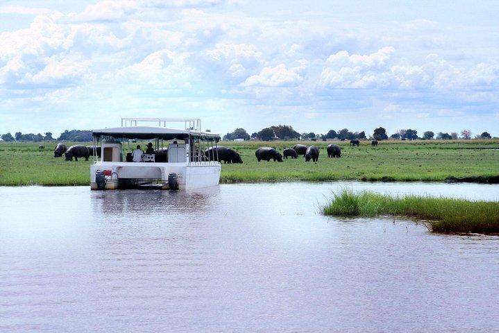 Croisière sur le fleuve Chobe