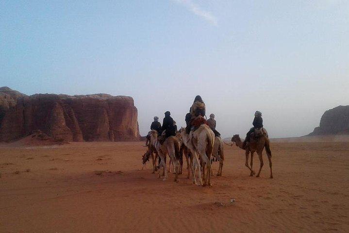Mélangez voyage en jeep, visite à dos de chameau et nuit au camp