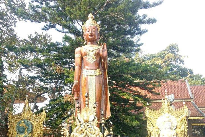 Visite privée de Chiang Mai avec plantation de thé, village karen, Doi Suthep