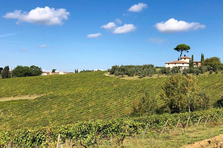 Your favorite Wine tour in Tuscany
