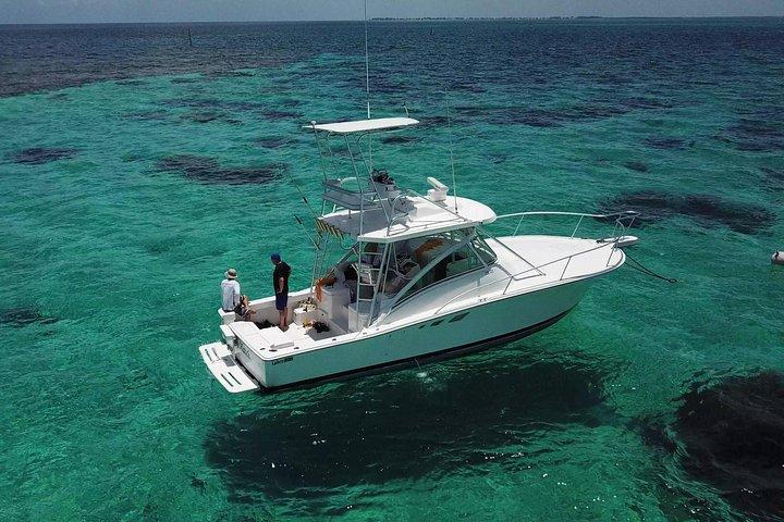 Private Charter 34ft Express Cruiser Stingay City Reef Schnorcheln