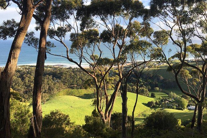 Overnight Great Ocean Road Tour from Melbourne