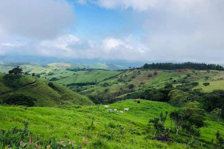 Équitation dans la forêt de nuages de Monteverde