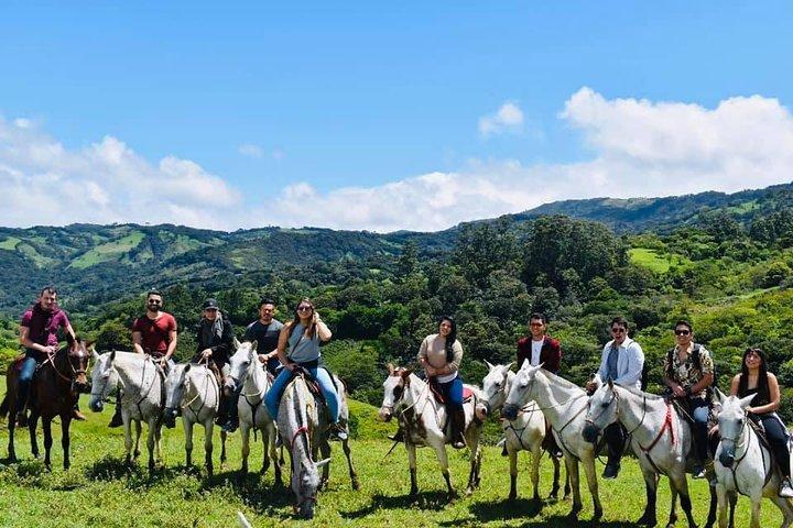 Équitation dans la forêt de nuages de Monteverde