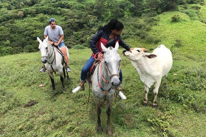 Équitation dans la forêt de nuages de Monteverde
