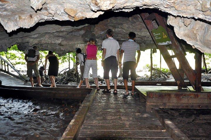 ランカウイ島キリムジオフォレストマングローブ川クルーズ半日静けさ