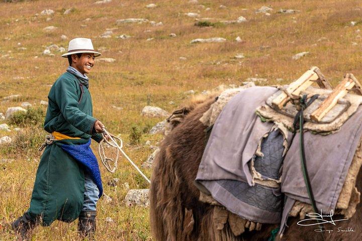 2 días de caminata a caballo en Naiman nuur y la parte central de Mongolia 8 días