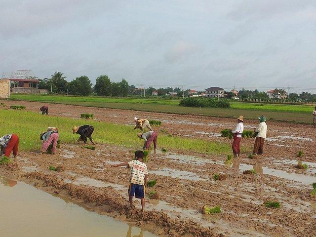 Private Half Day to Banteay Ampil & Countryside by Jeep