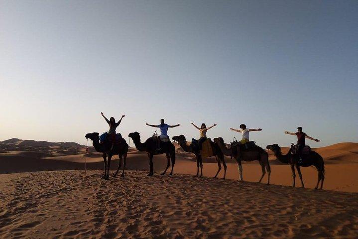2 days Sahara trip /lux tent