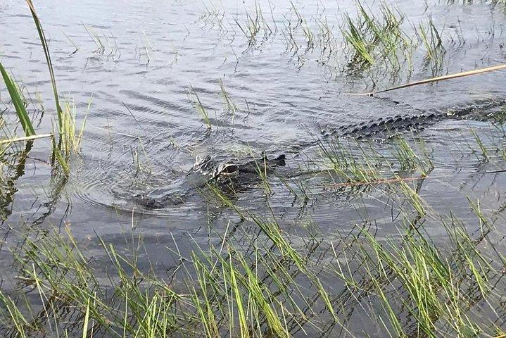 Everglades Airboat Safari Adventure com transporte