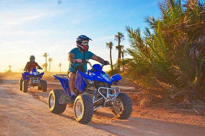 Camel Ride & Quad Cykling Halvdag i Marrakech
