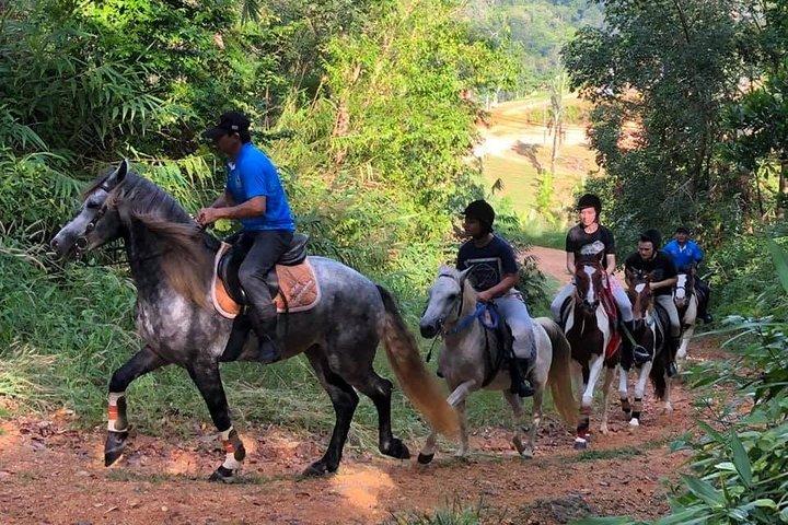 乗馬1時間トレイル
