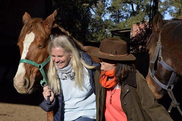 Coaching avec des chevaux à Buenos Aires, Argentine