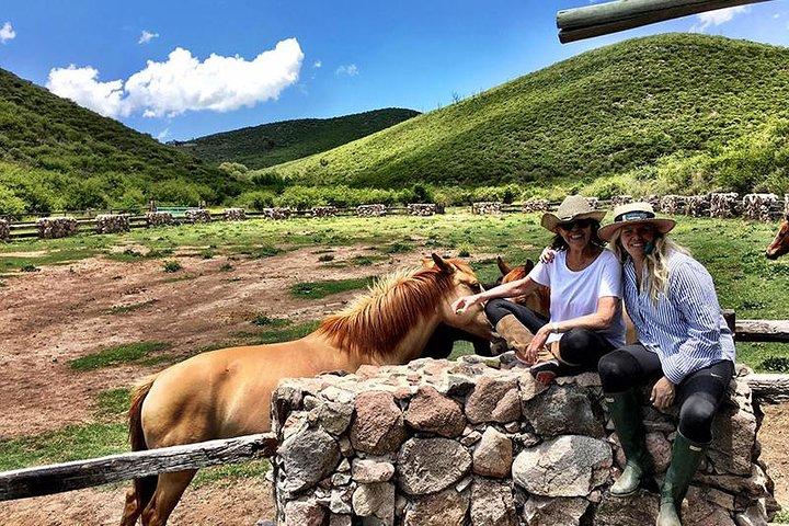 Coaching avec des chevaux à Buenos Aires, Argentine