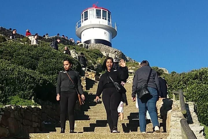 Small Group Cape Of Good Hope Penguins Wine Tasting Inc Park Fees