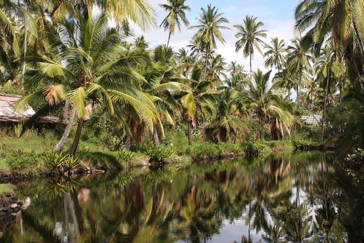 Kauai: Tour de cinema da Havaí