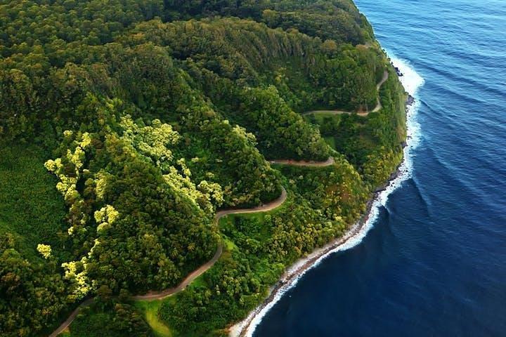 クルーズ船ショアエクスカーション：カフルイ天国の花ツアー