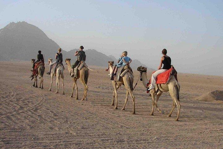 Quad Biking in Sinai Desert