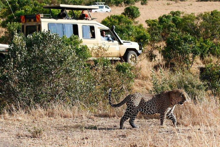 4 jours Aberdare, lac Nakuru, lac Naivasha Safari (minimum 2 personnes)