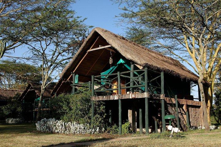 2 Days 1 night Olpajeta Conservancy - Ngare Ndare Forest (Minimum 2 Persons)