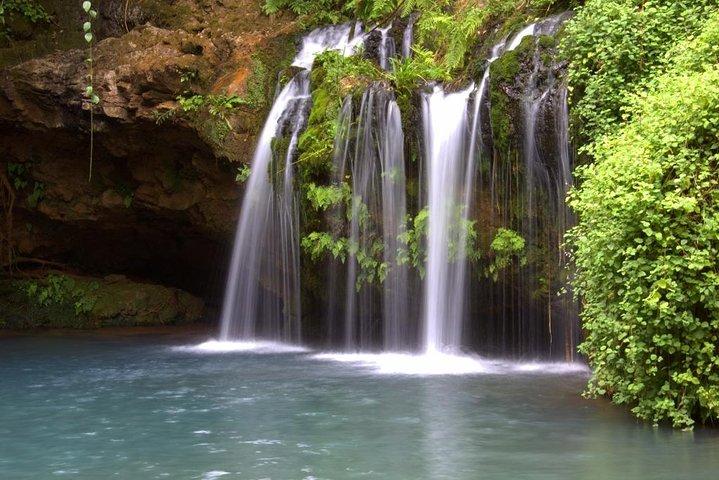 1 泊 2 日 Olpajeta Conservancy - Ngare Ndare Forest (最低 2 名)
