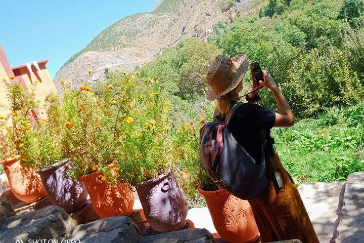 Discover The Berber Culture On Your Private Day Trip From Marrakech