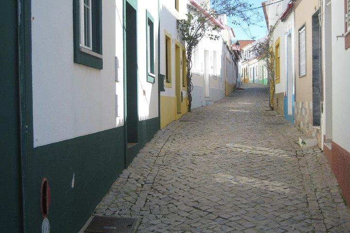 Paisagens e Adegas do Algarve