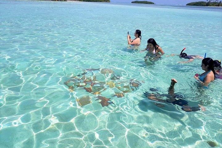 Excursión de día completo a las Islas San Blas + Transporte desde Ciudad de Panamá