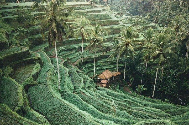 Visite de Bali personnalisée avec un guide local