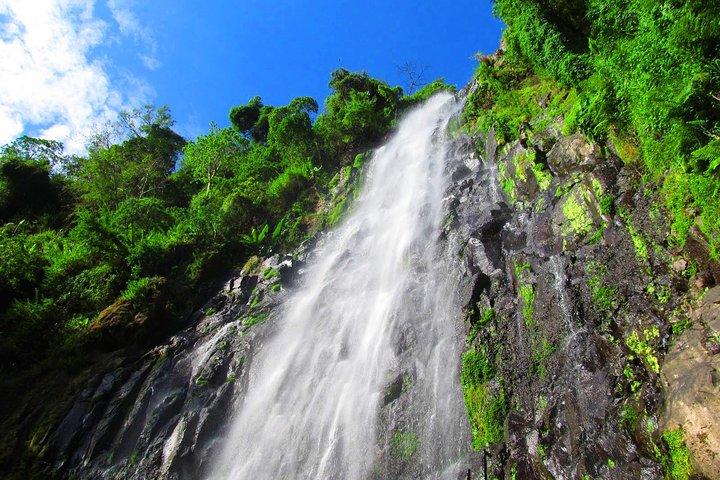 Excursión de un día a la cascada Materuni