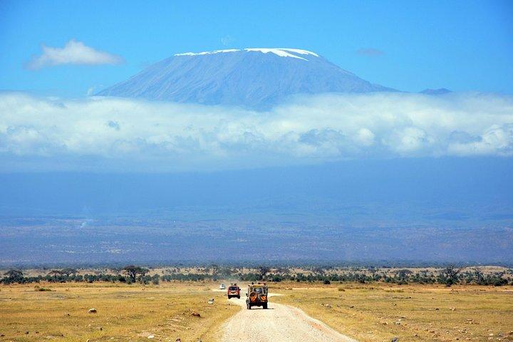 Excursión de un día a Kilimanjaro Caminata a Mandara Hut