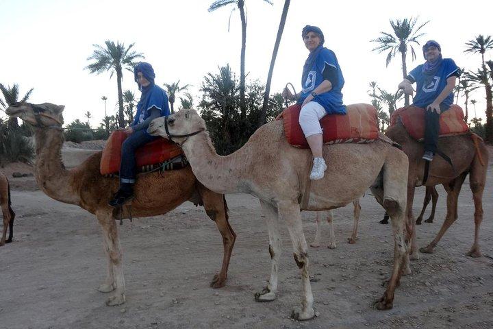 Marrakech Palmeraie 1-stündiger Kamelritt