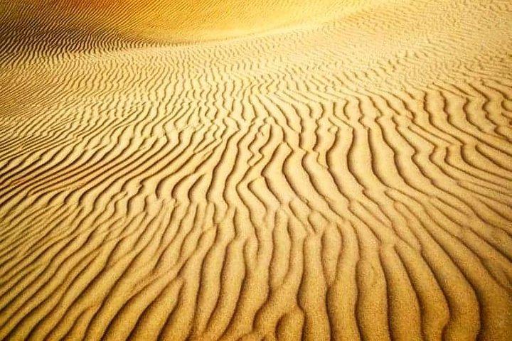 Arabische nachtsafari met kameelrit, zandplank, barbecue en liveshows