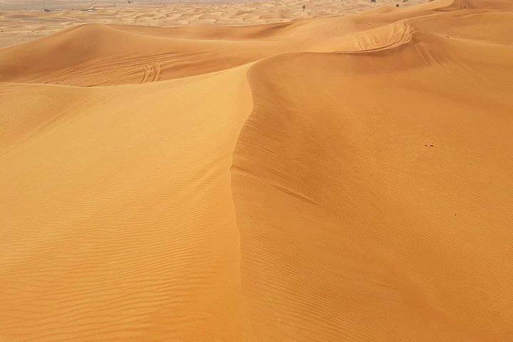 Arabische nachtsafari met kameelrit, zandplank, barbecue en liveshows